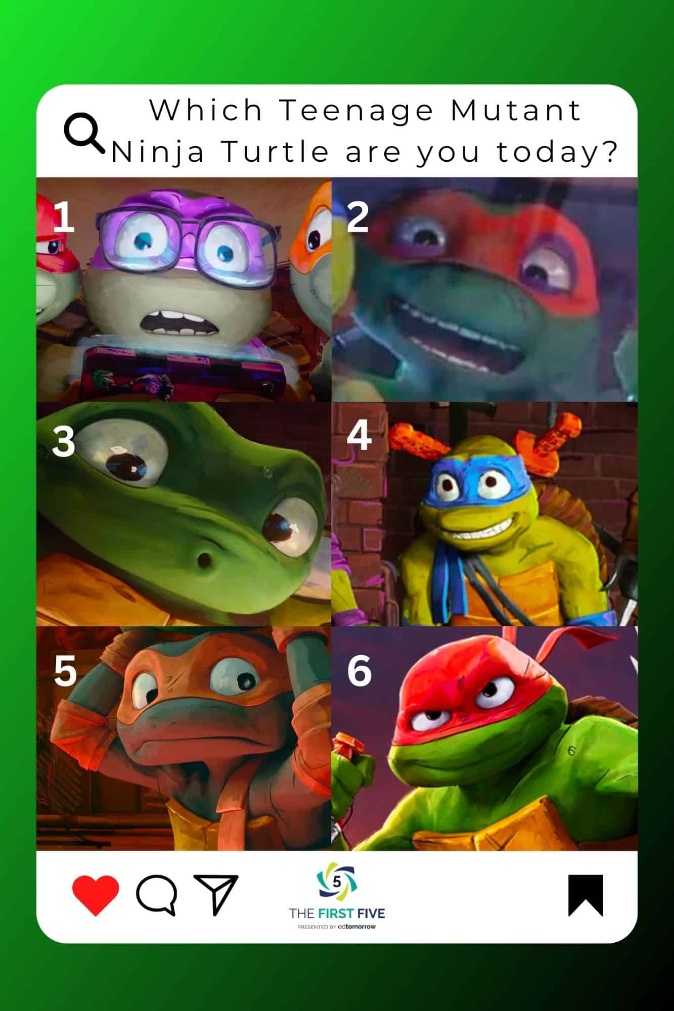 Turtle Instagram Check In