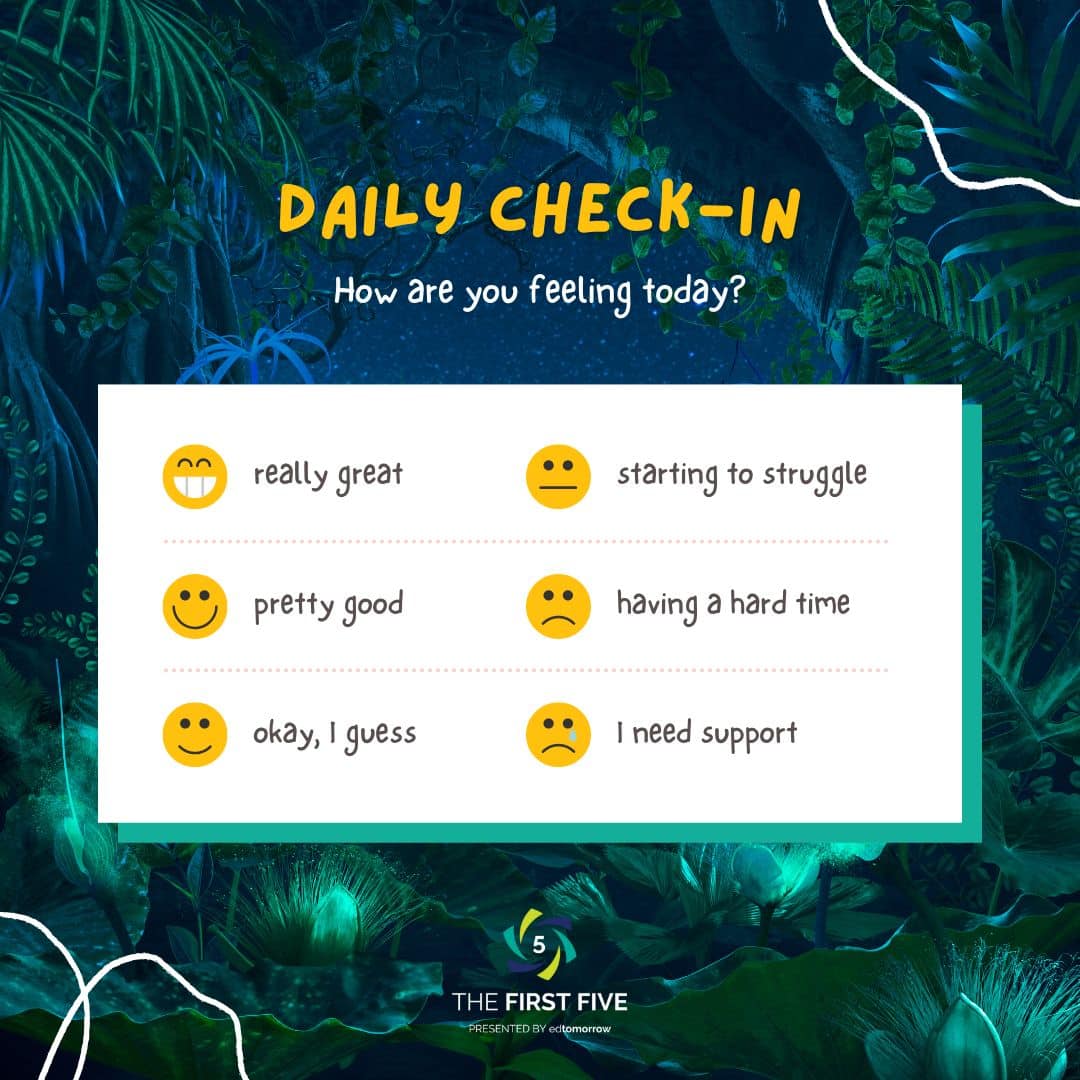 Todays 6 Daily Check In