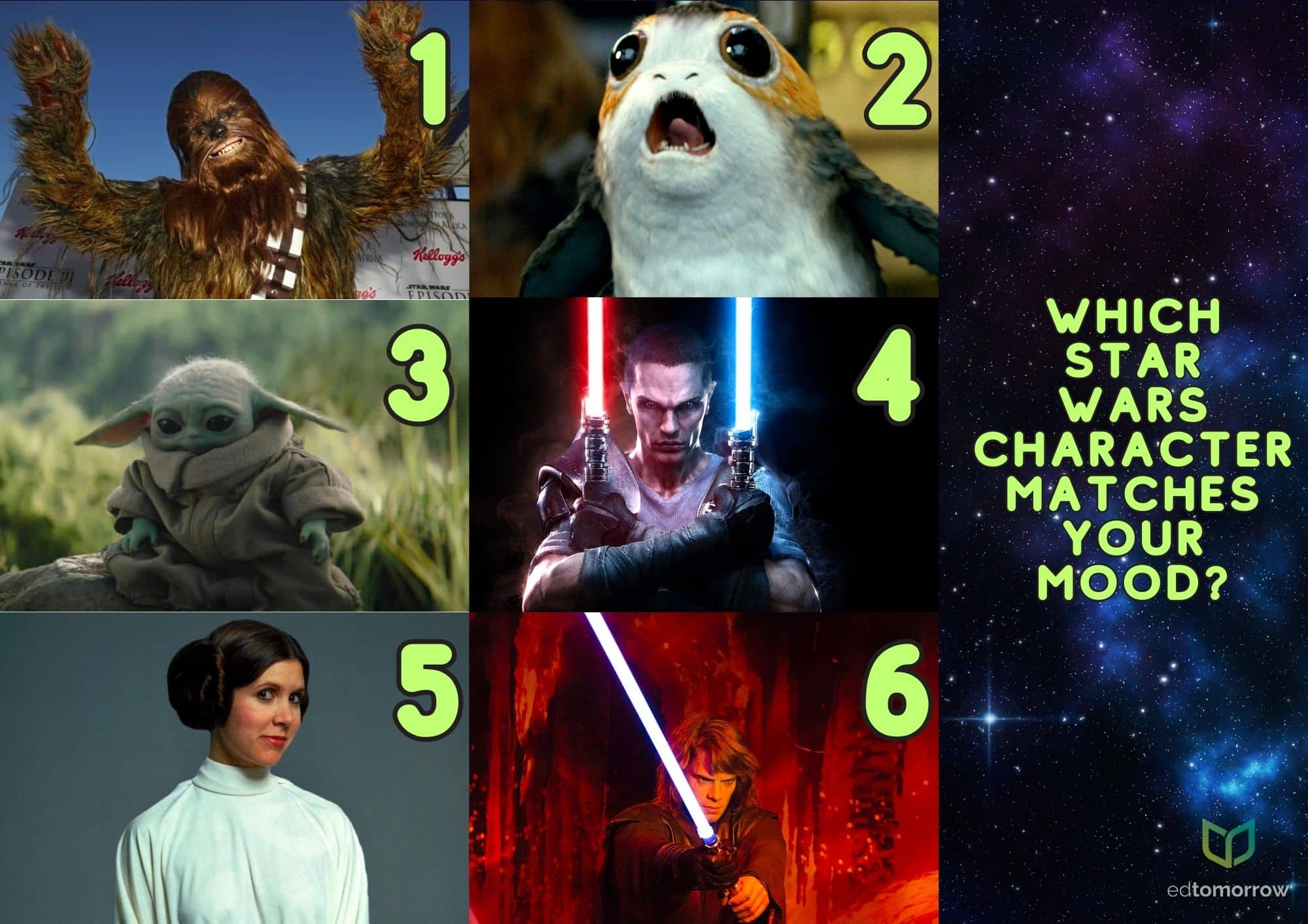 Star Wars Characters Check In