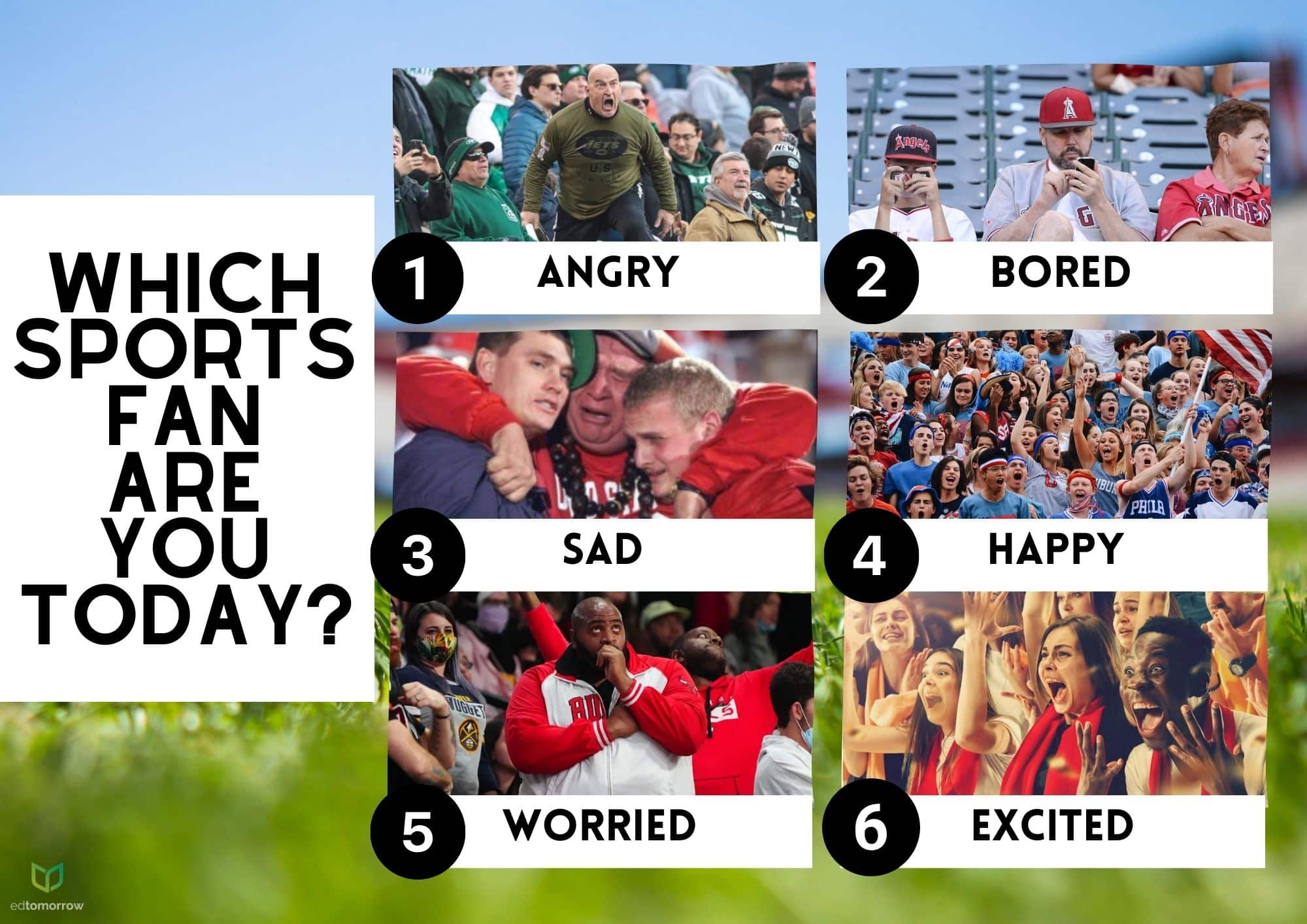 Sports Fan Check In