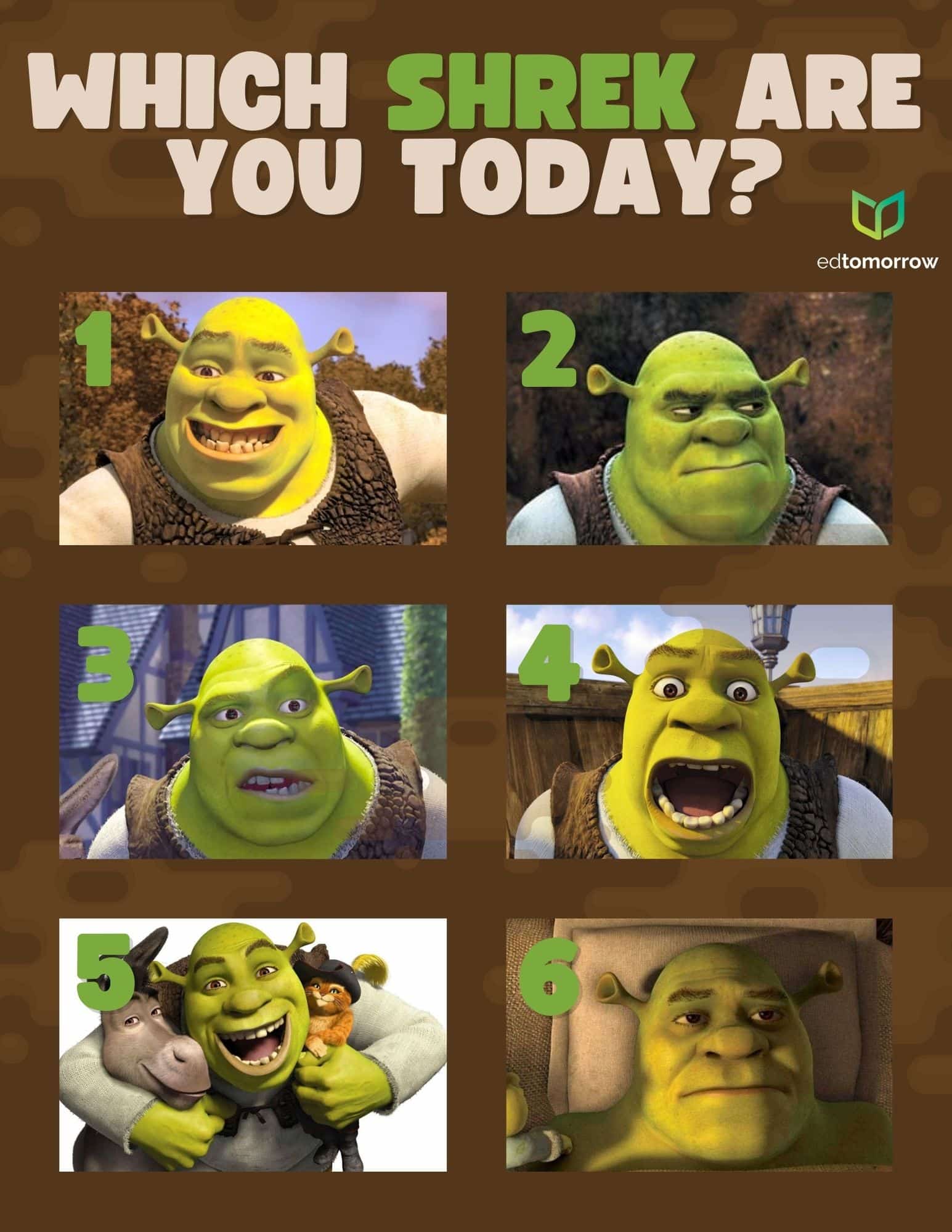 Shrek Mood Check In