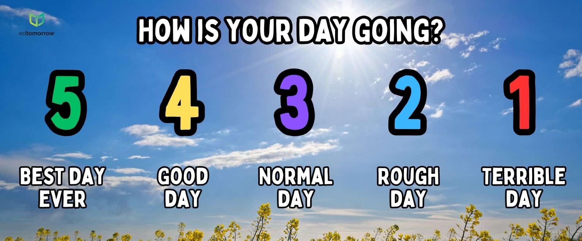 Scale 1 to 5 Spring