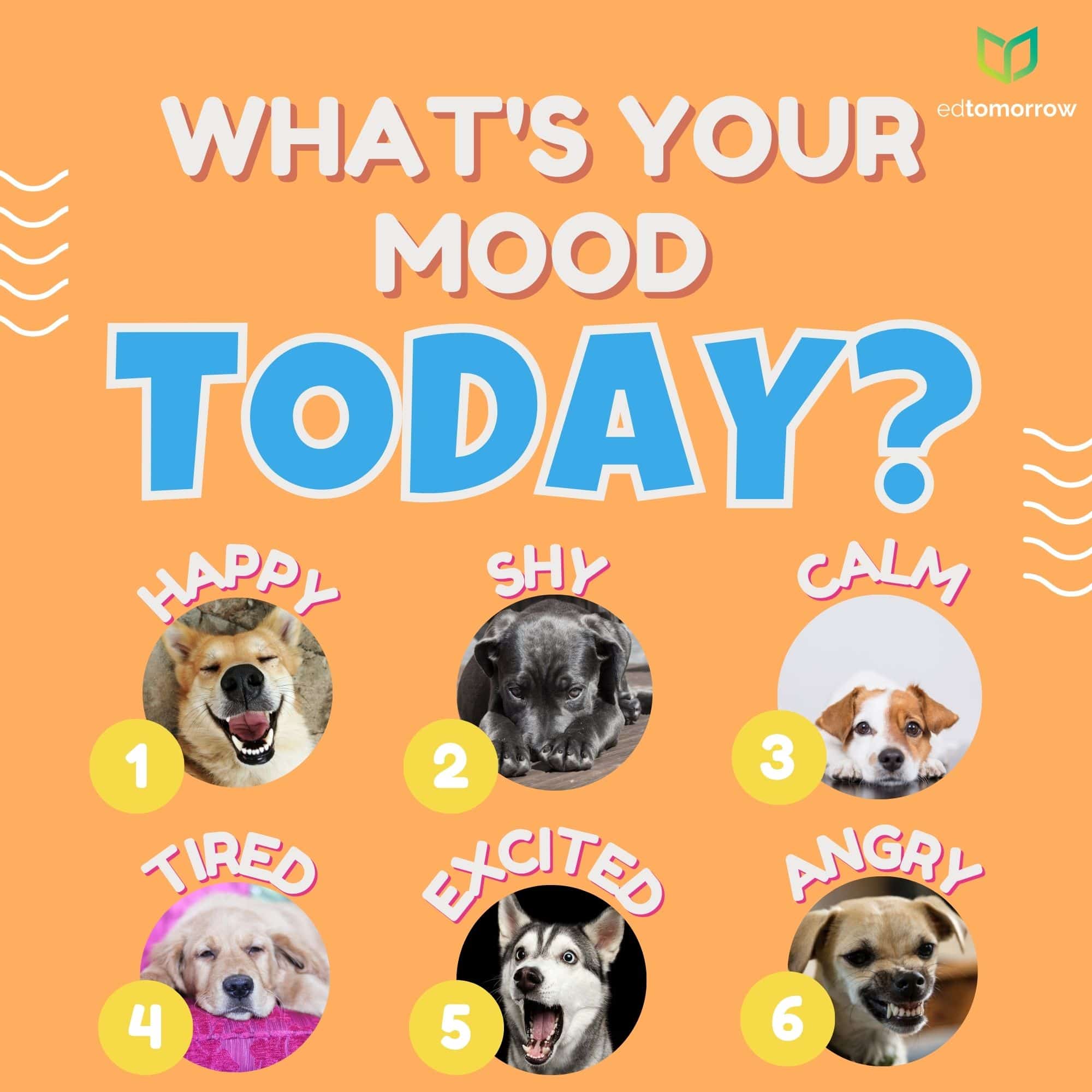 Puppy Mood Today Check In