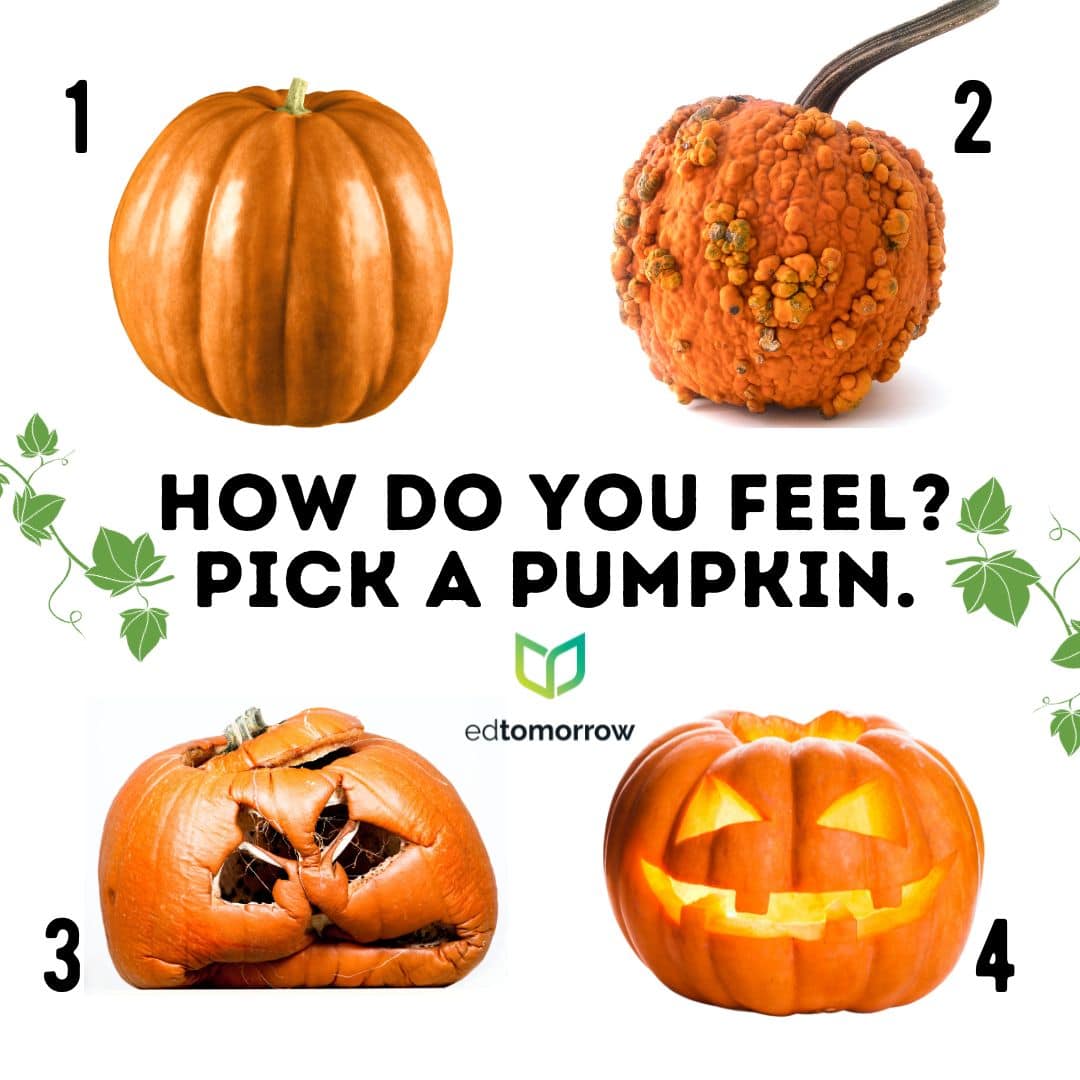 Pumpkins 4 Check In