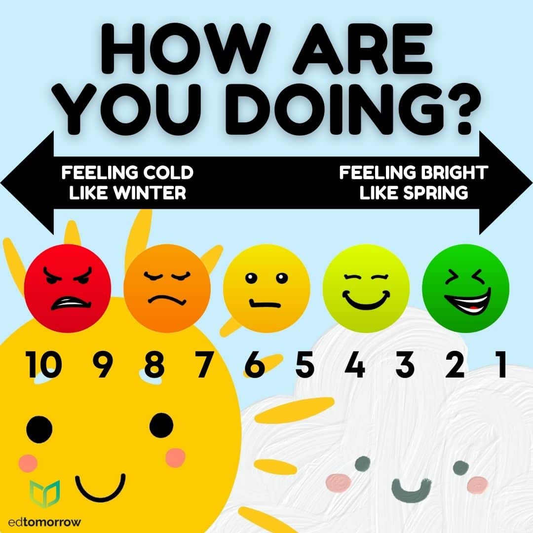 Primary Feeling Meter Check In