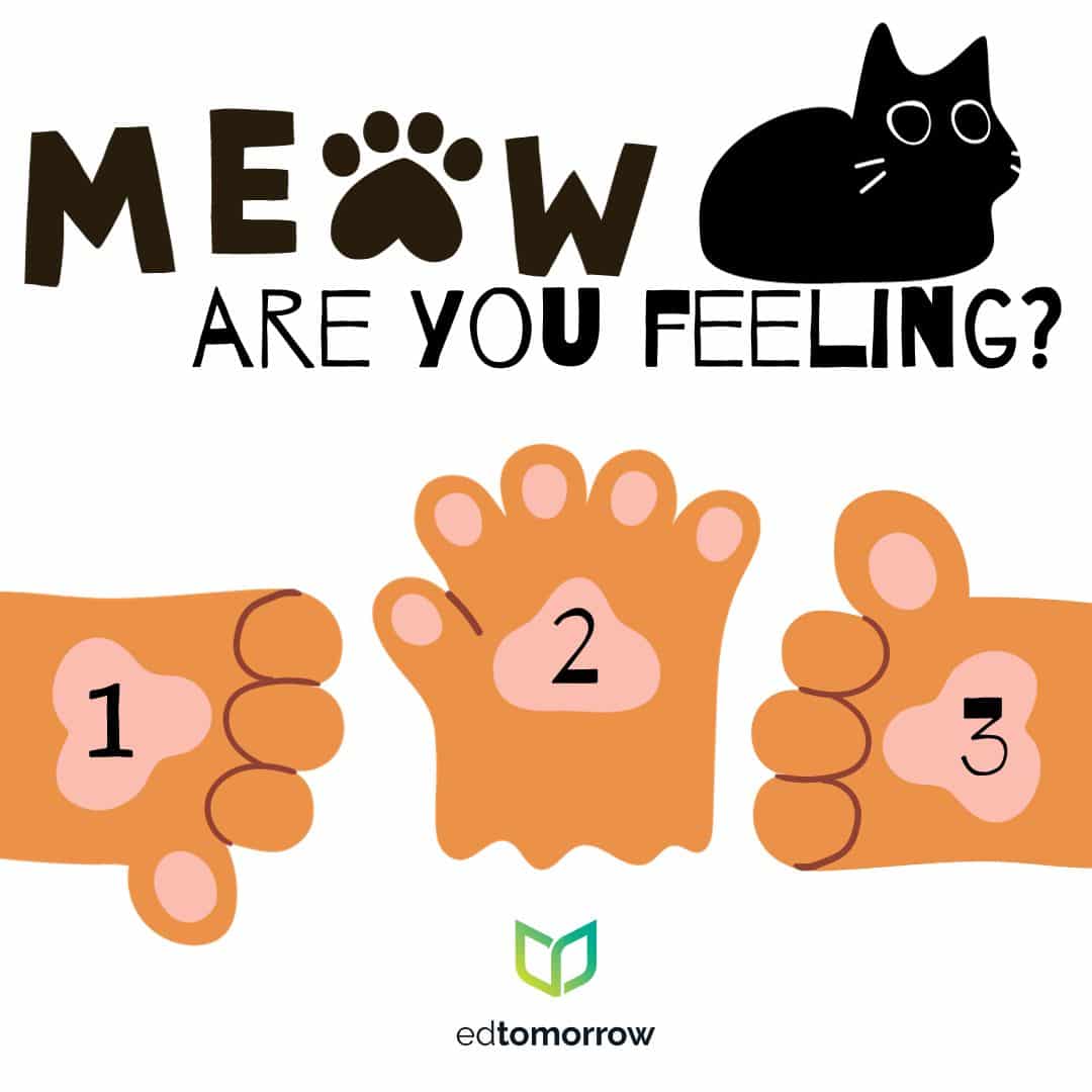 Paws Up Or Down Check In