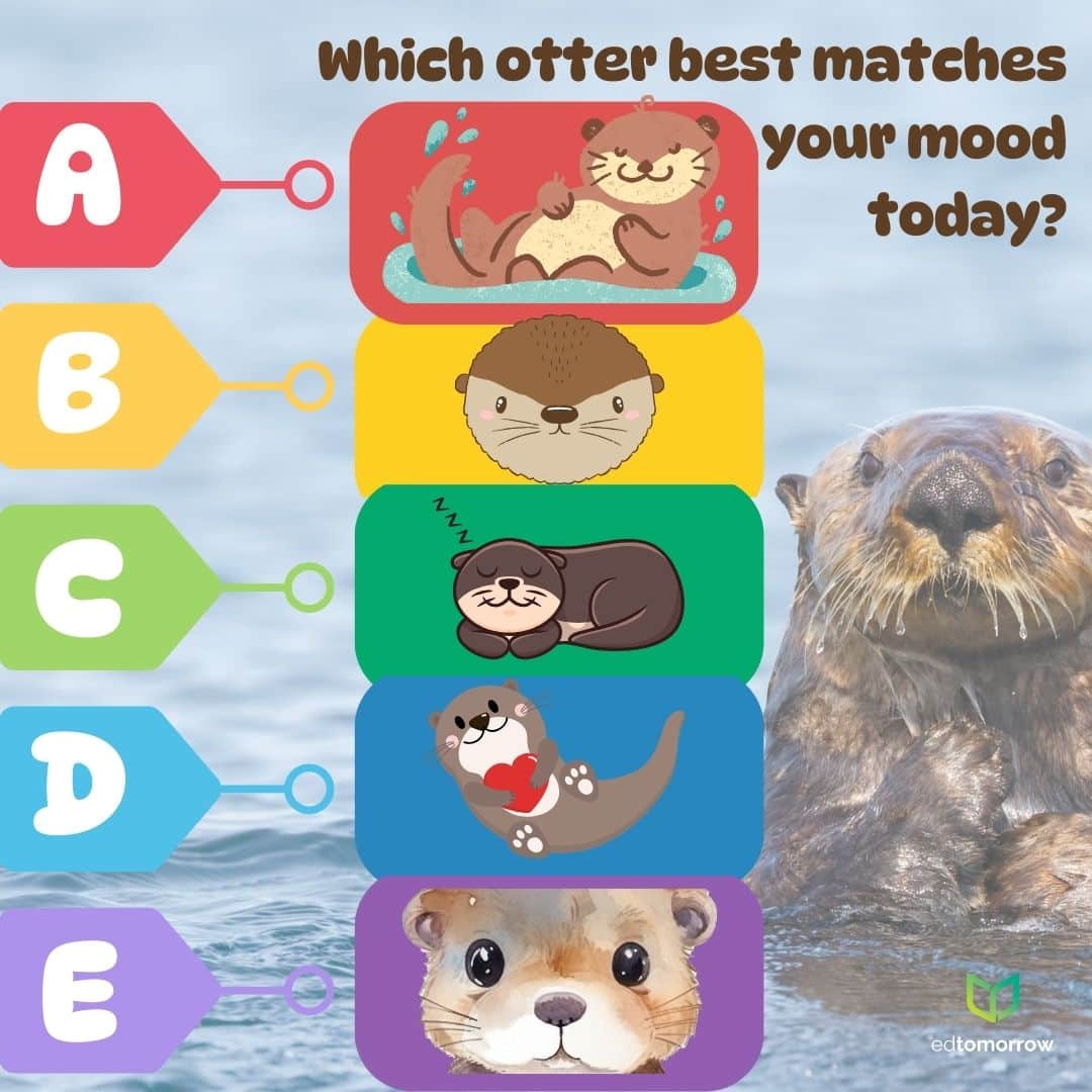 Otter Check In