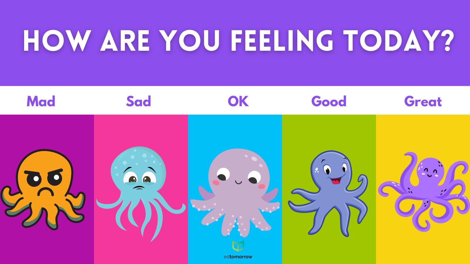 Octopus Check In