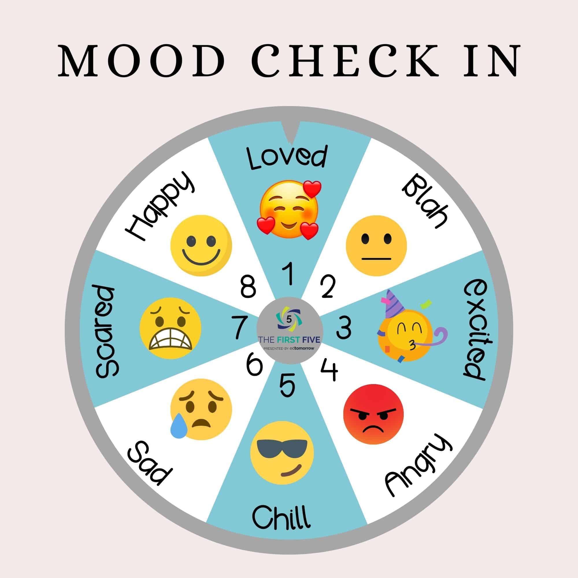 Mood Activity Wheel Check In
