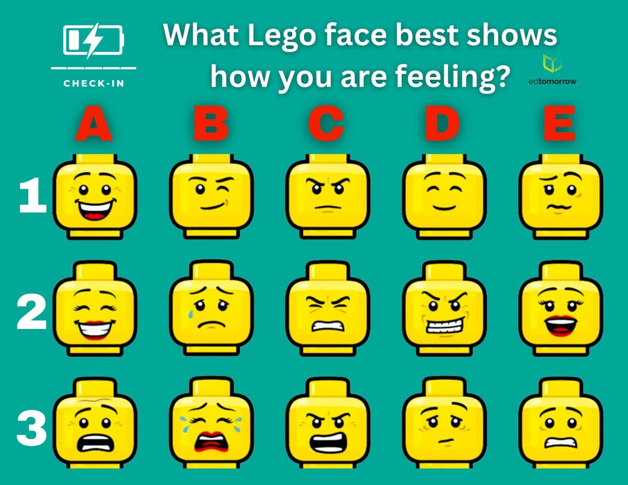 Lego Faces 15 Check In
