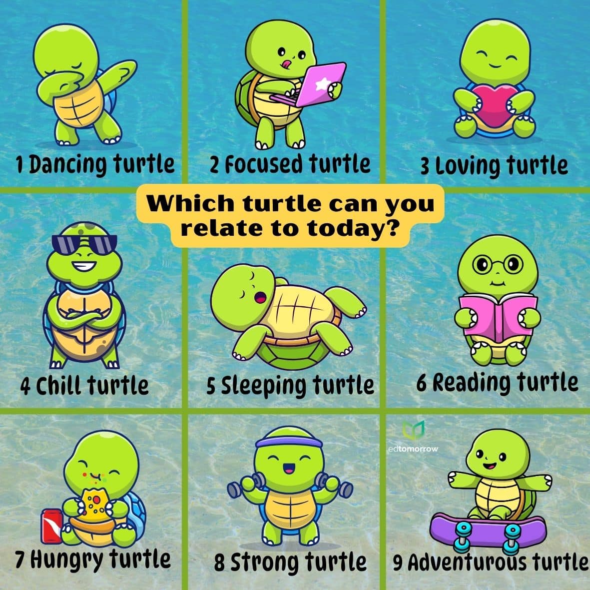 Joyful Turtles Check In
