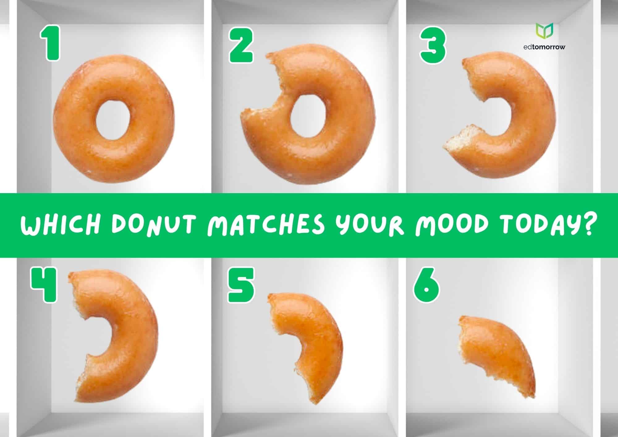 How Much Donut Check In