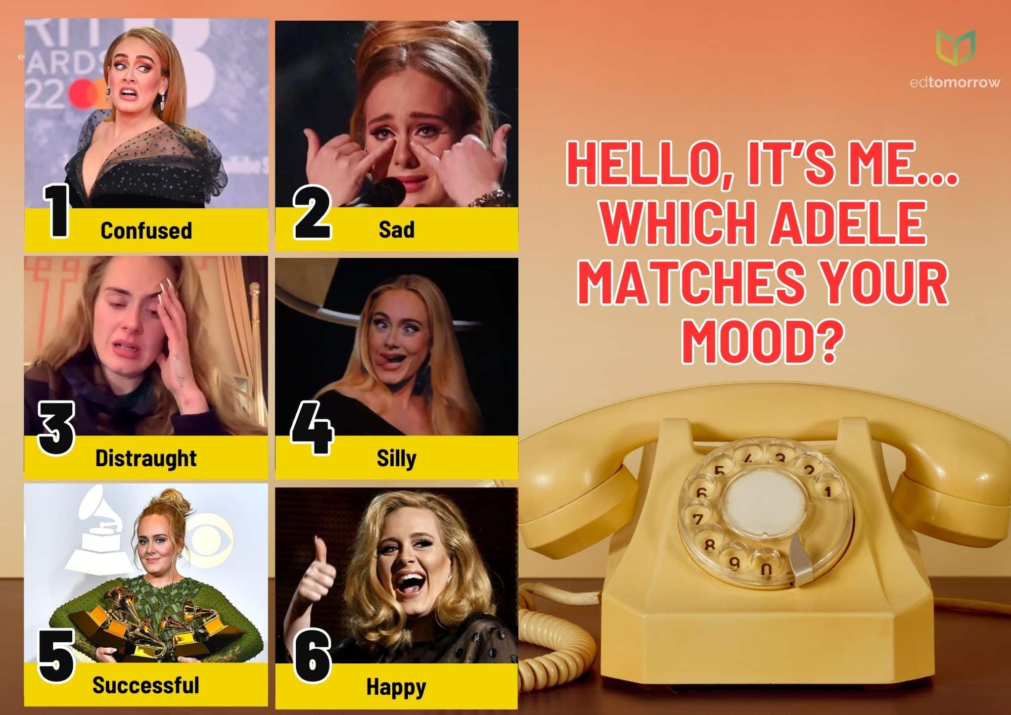 Hello Its Adele Check In