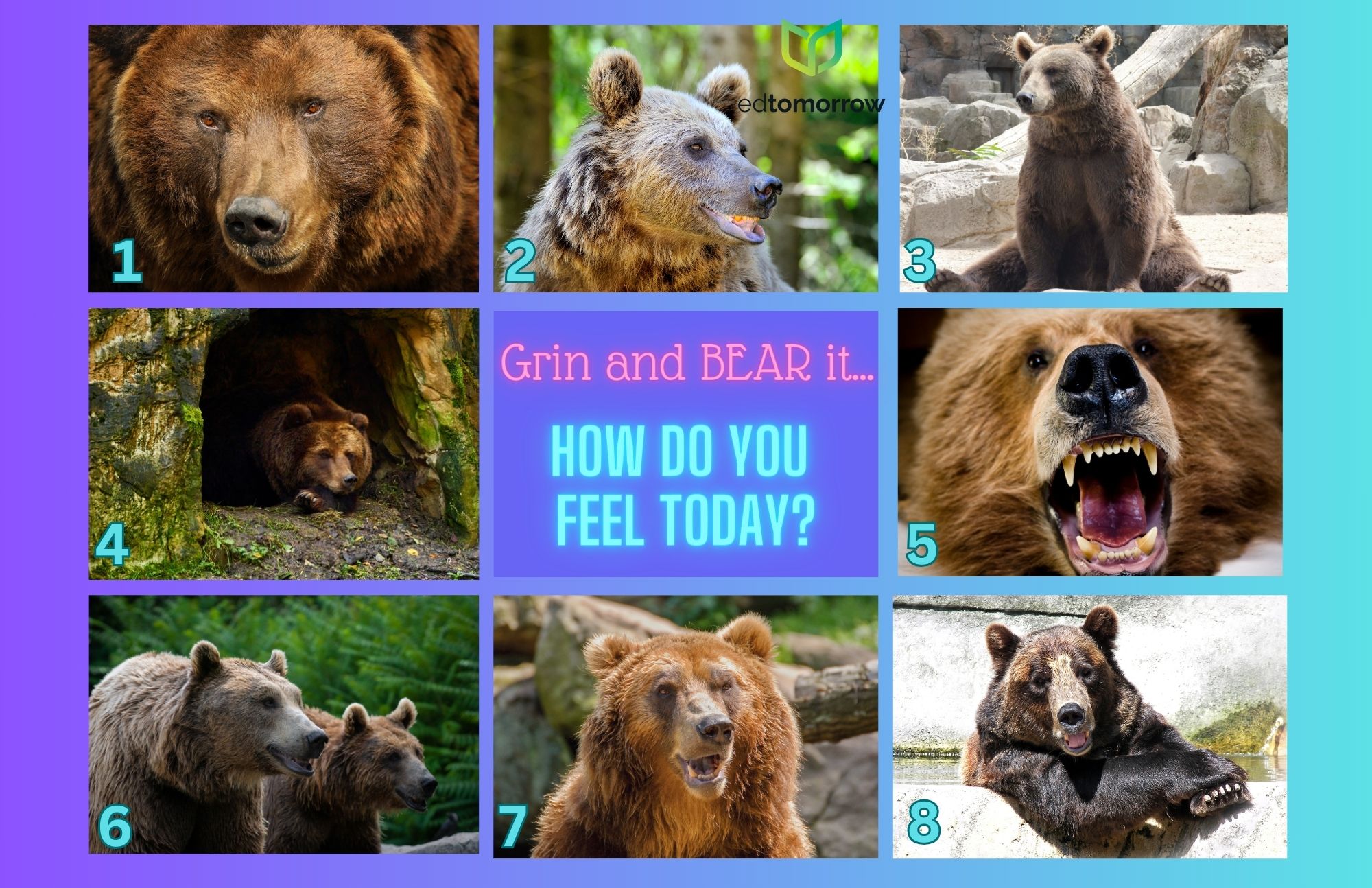 Grin And Bear It Check In