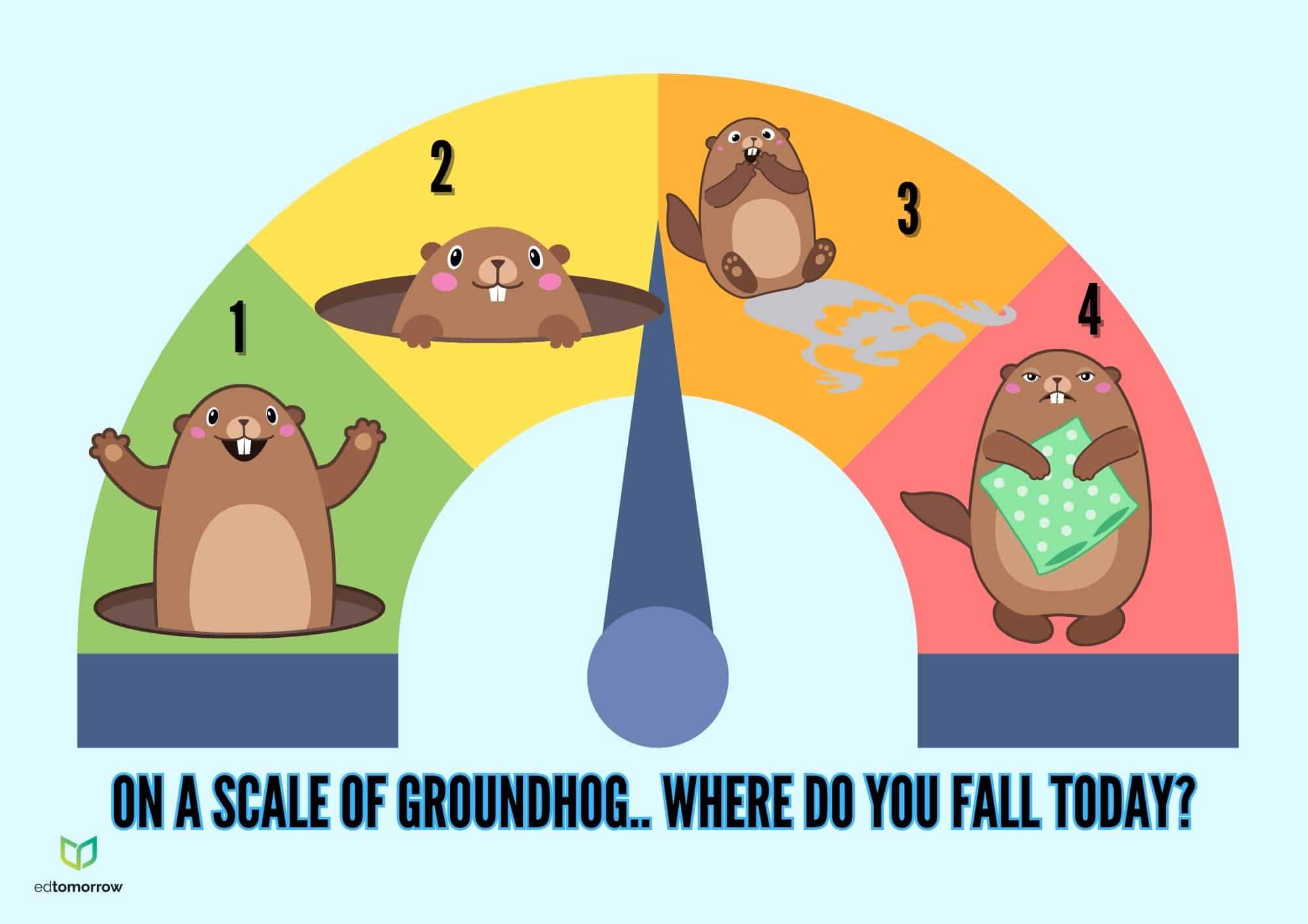 Groundhog 4 Check In