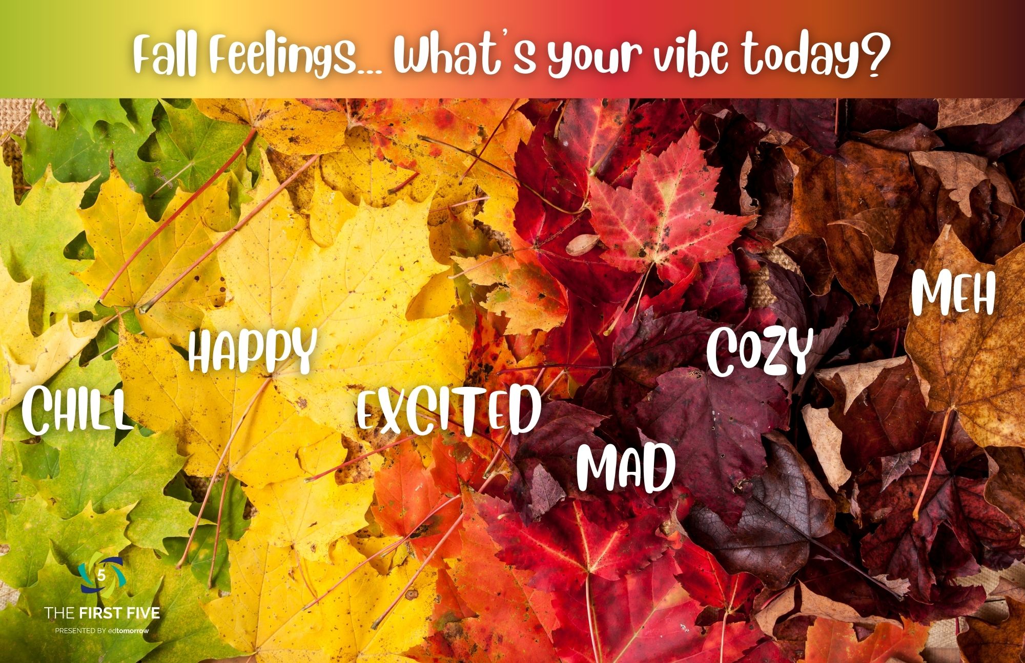 Fall Vibes and Feels Check In