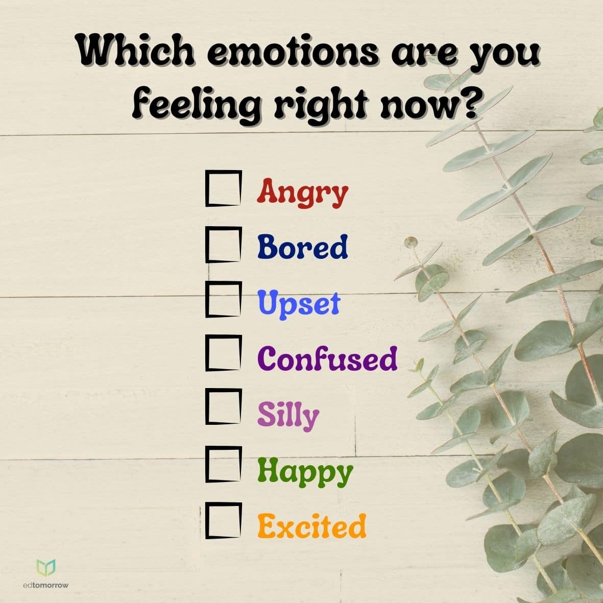 Emotions Checklist Check In
