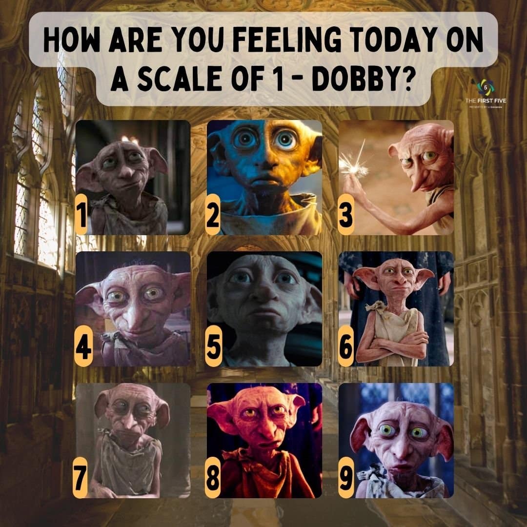Dobbys Emotion Check In