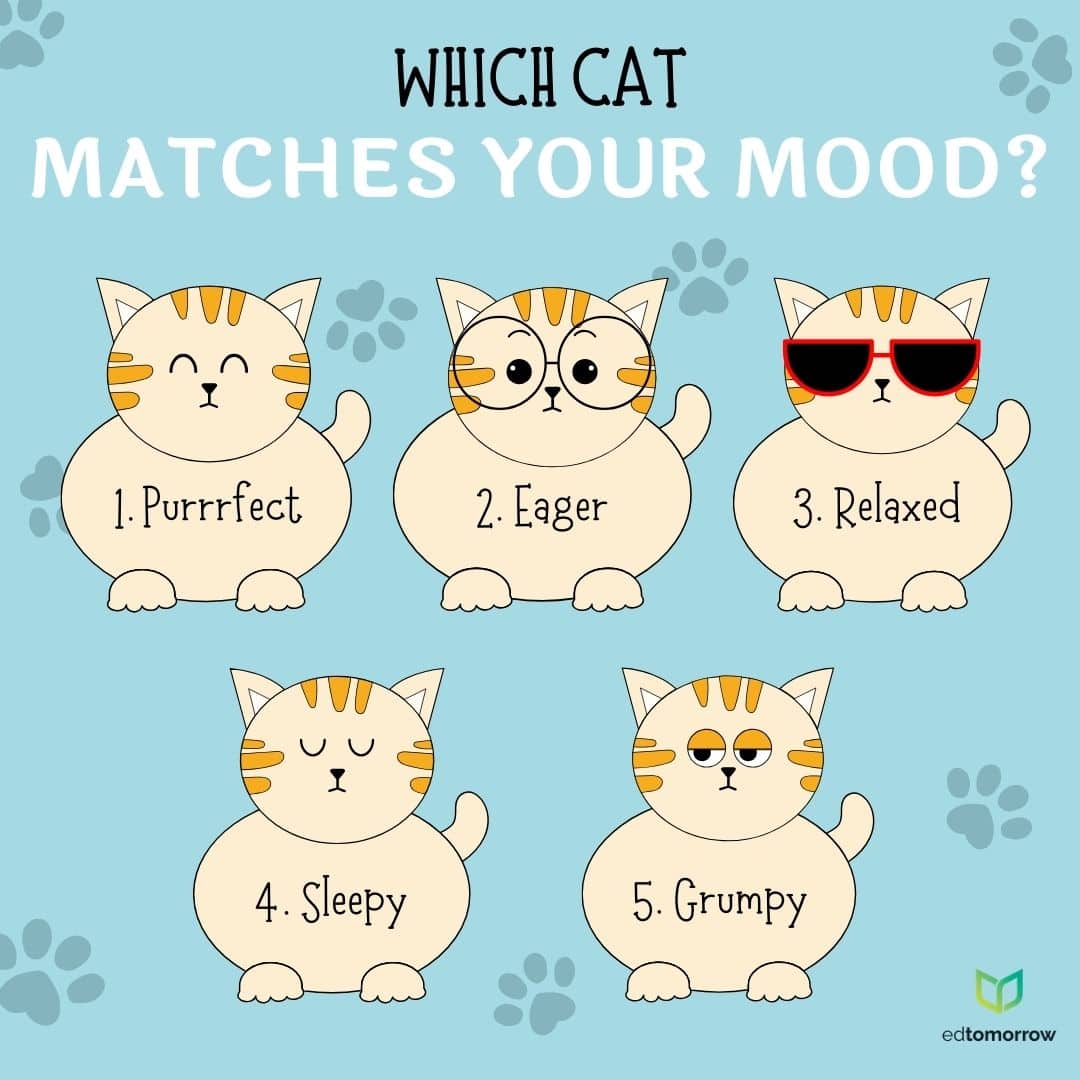 Cool Cats Check In