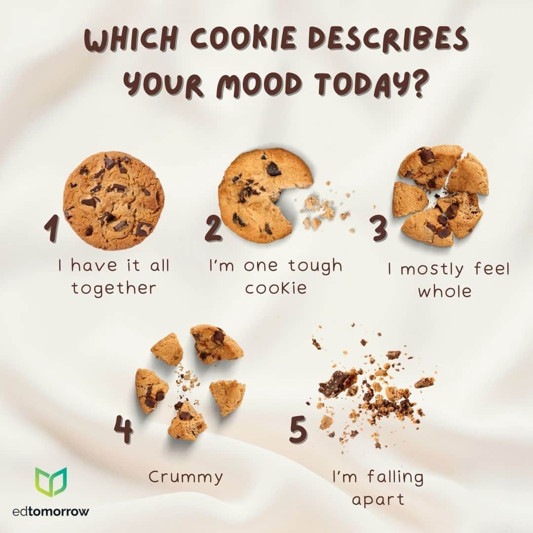 Cookie Mood Check In