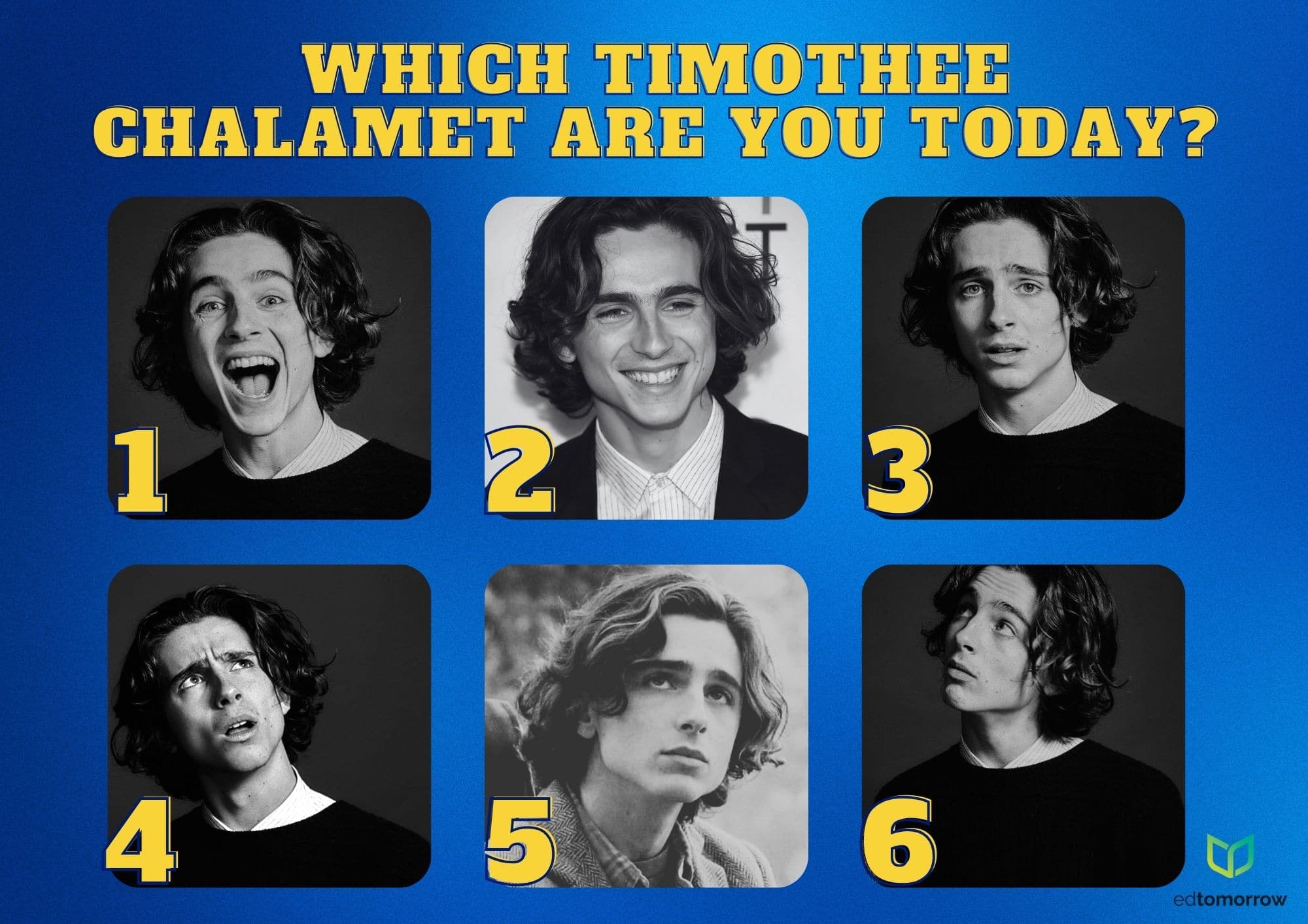 Chalamet Check In