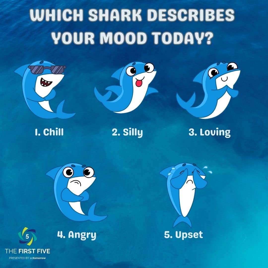 Cartoon Shark Check In