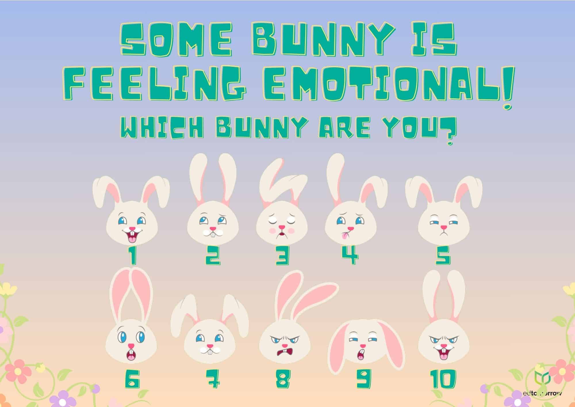 Bunnies Check In