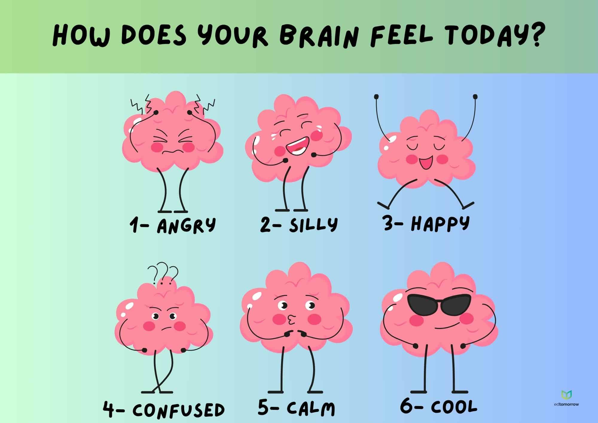 Brain Figure Check In