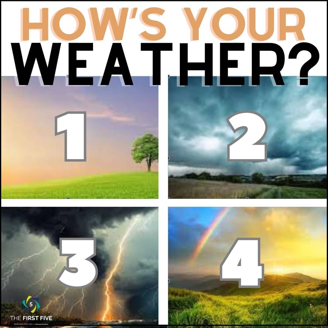 4 Types of Weather Check In
