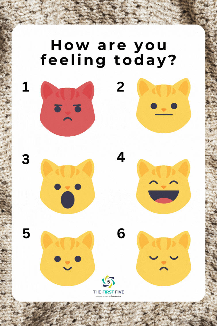 Emotional Cat Faces Chart