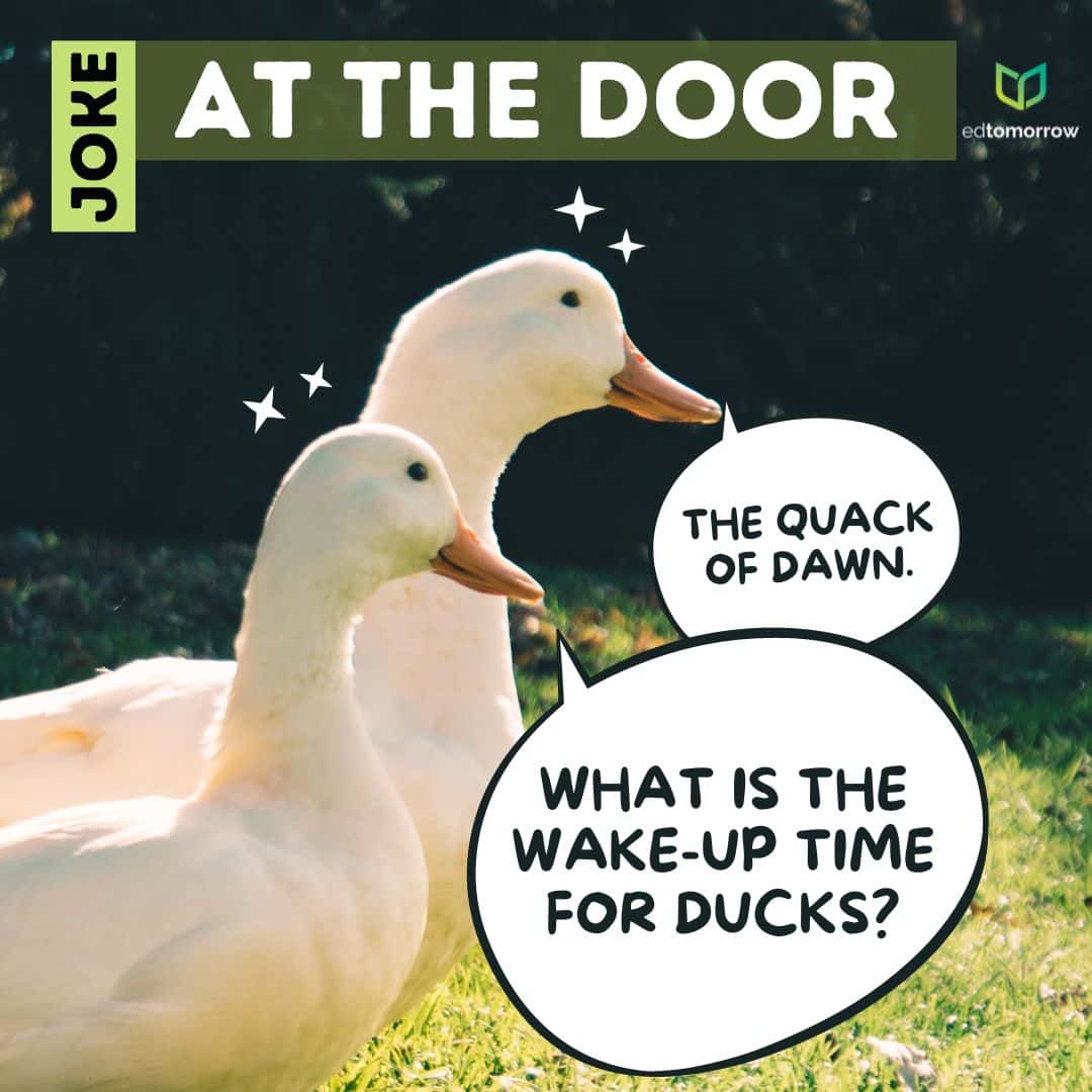 Wake Up Time for Ducks
