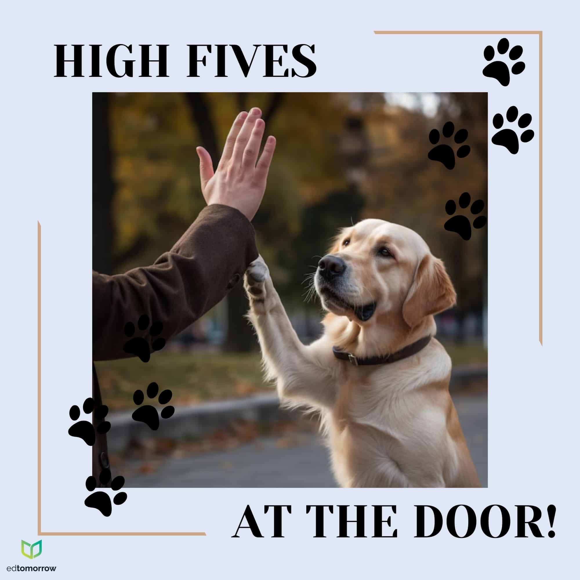 High Fives Doggo