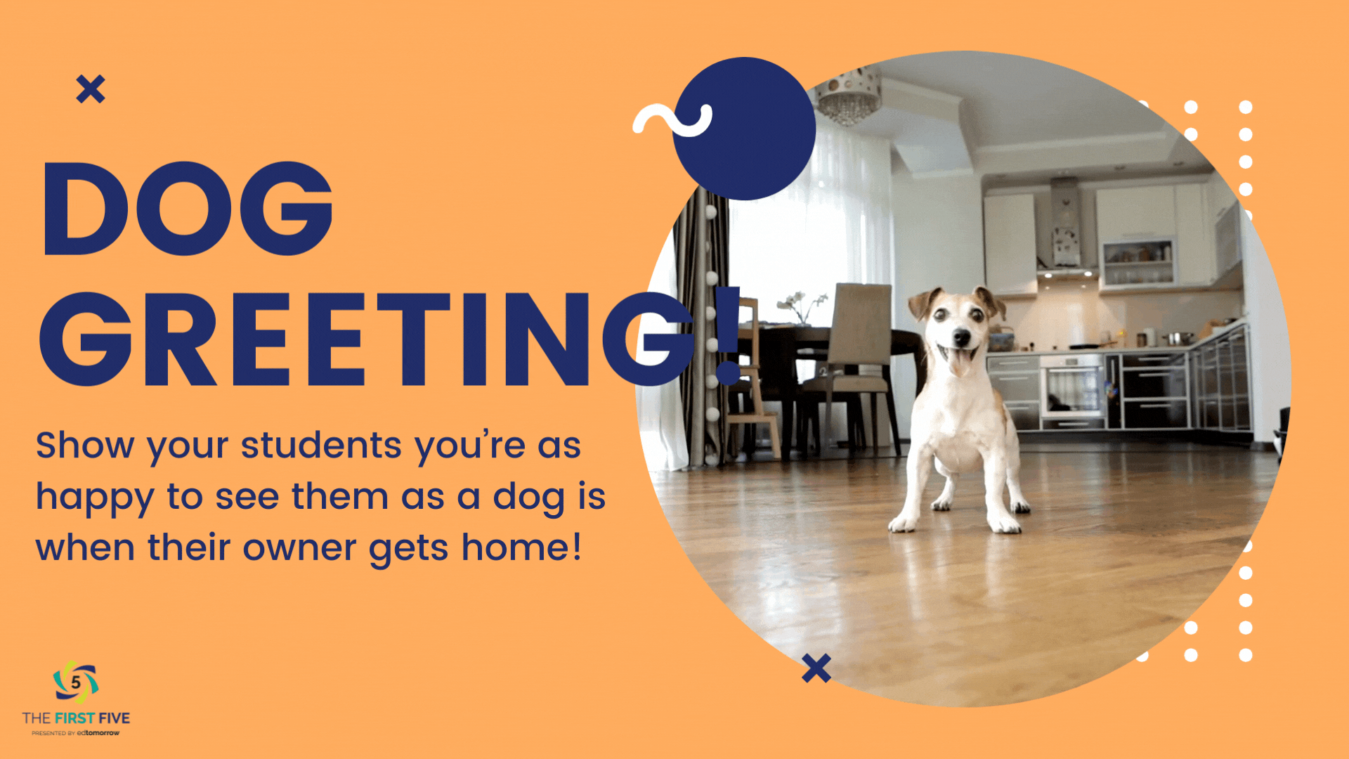 Dog Greeting