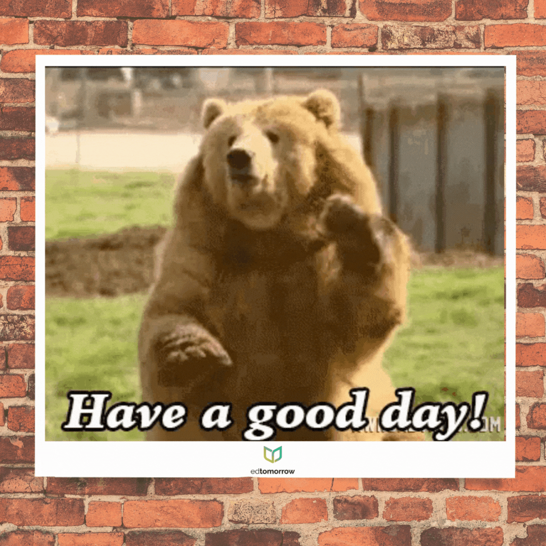 Bear Wave
