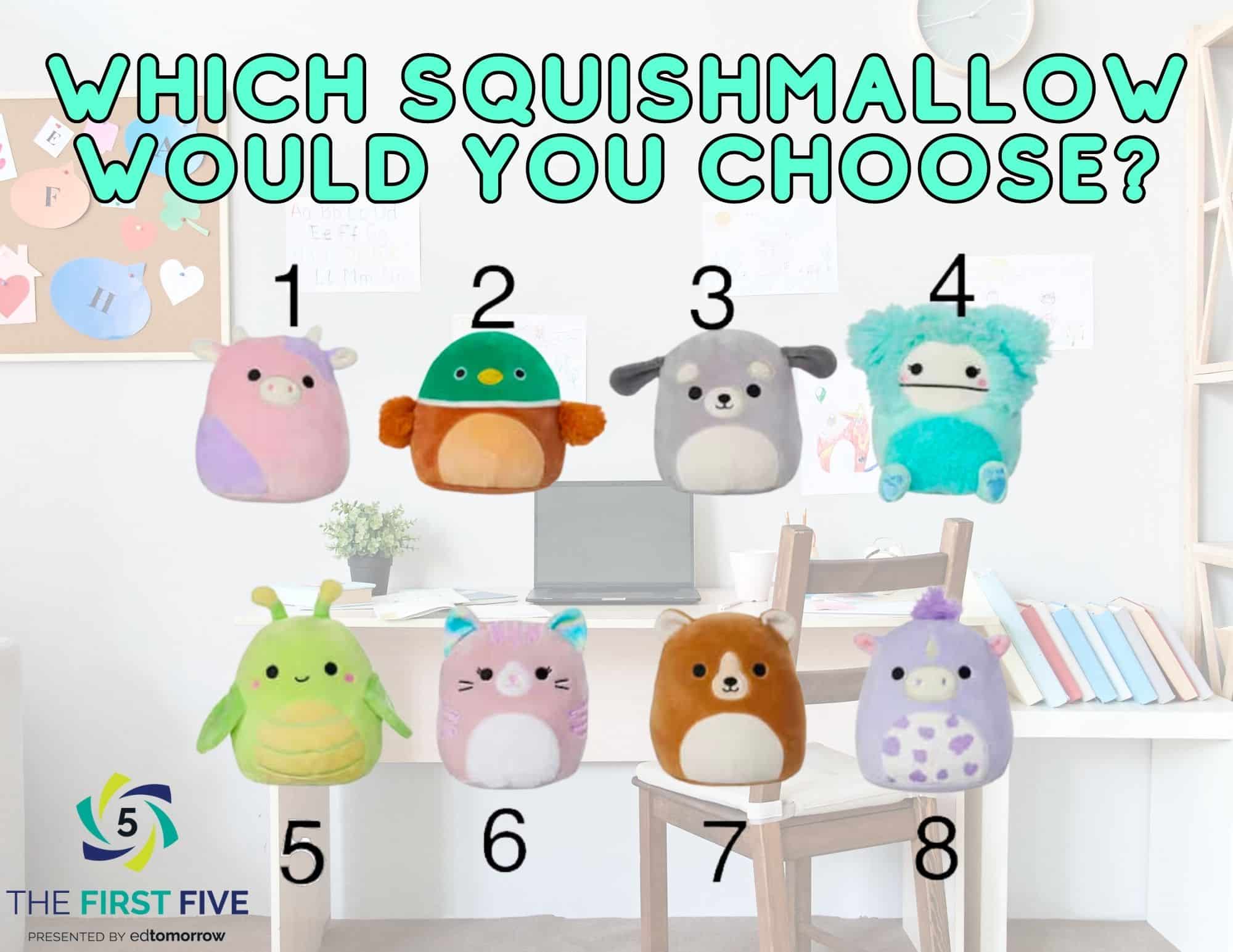 Which Squishmallow