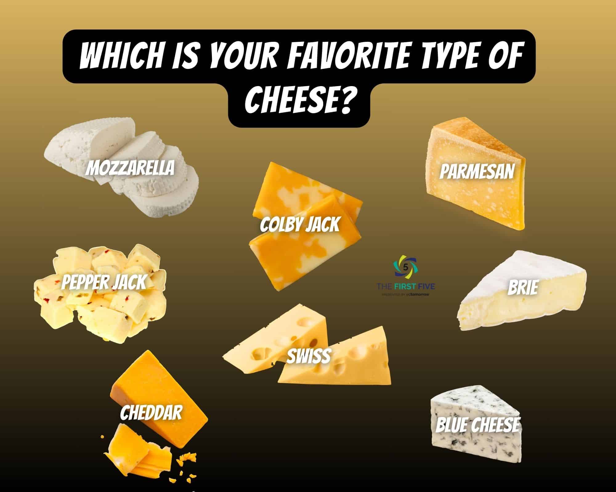Which Cheese