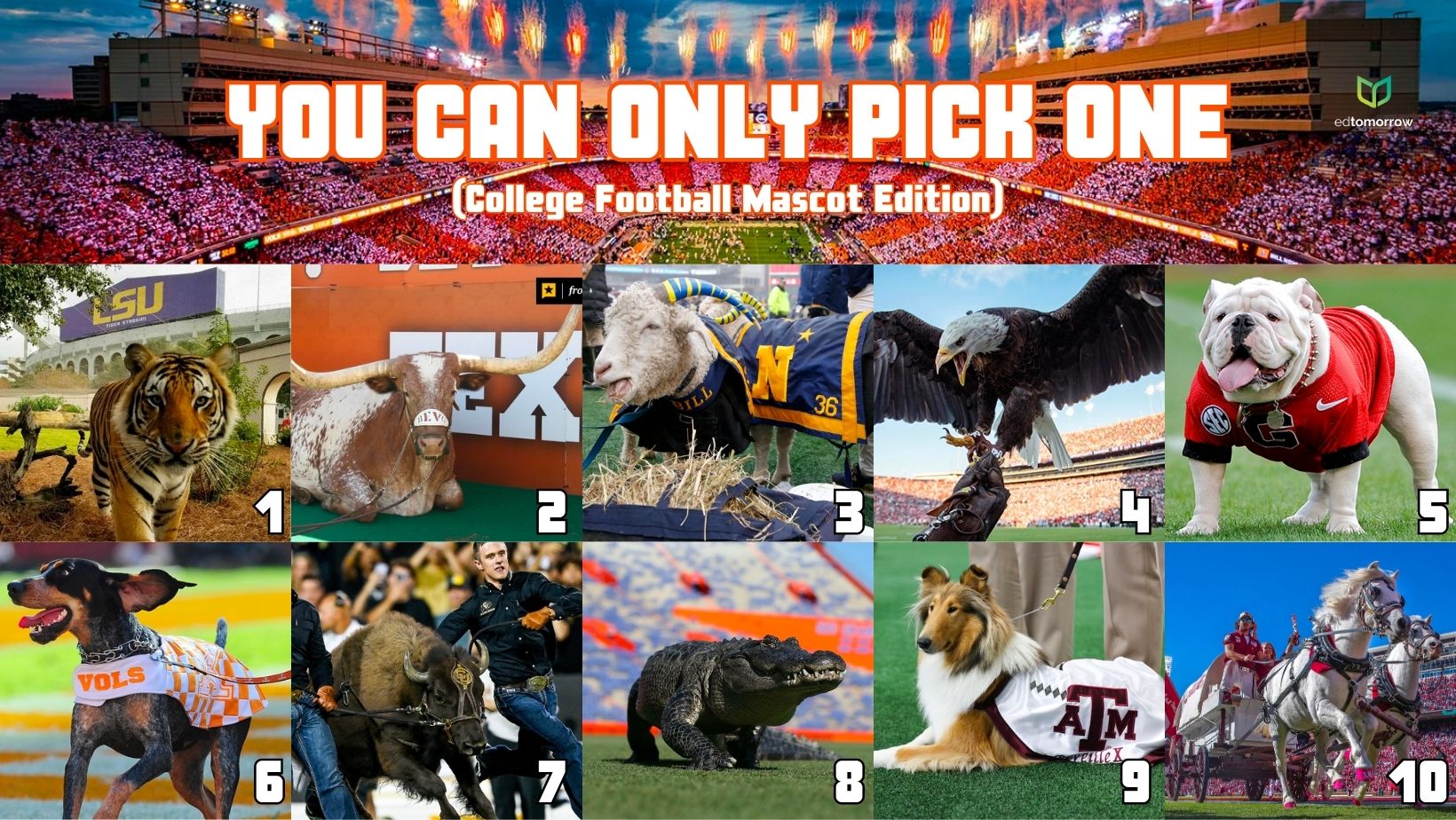 College Mascots