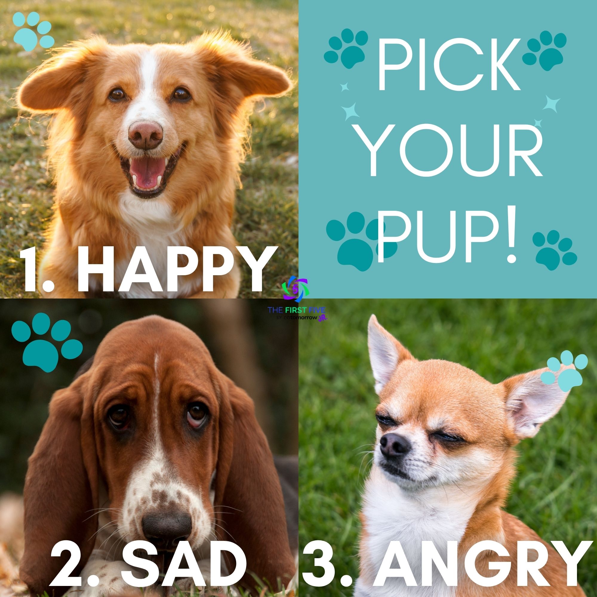 Pick Your Pup Mood