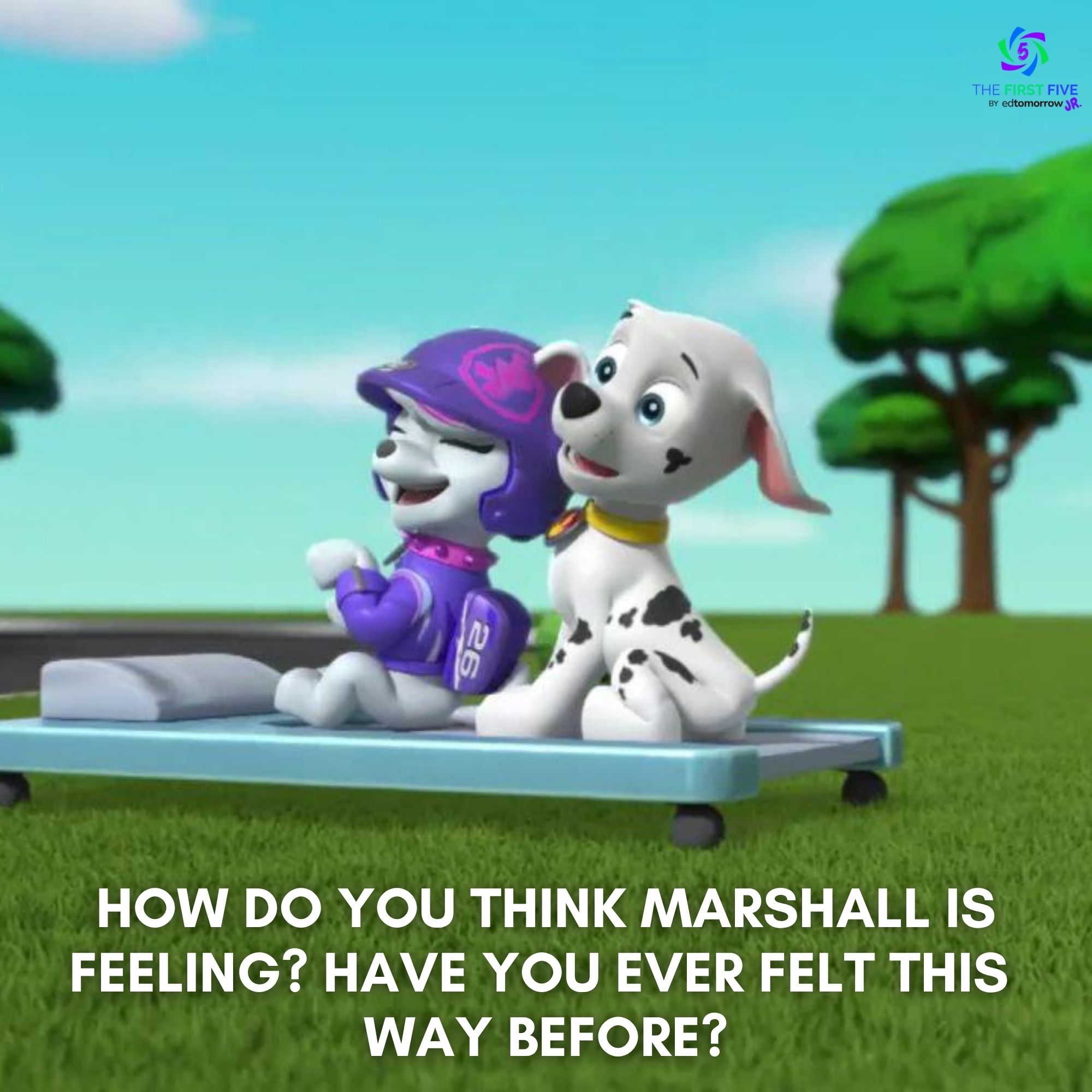 Paw Patrol Marshall