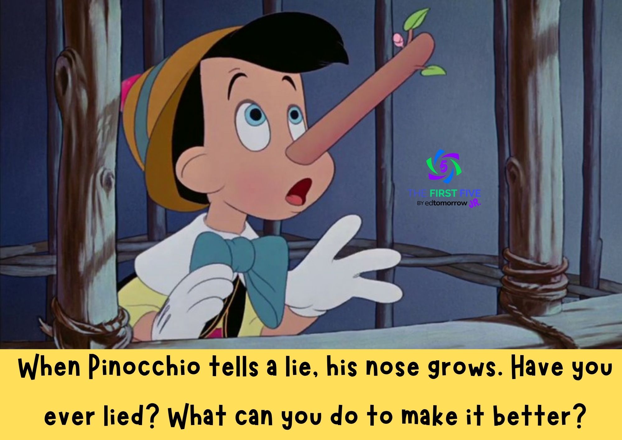 Pinocchio Lie