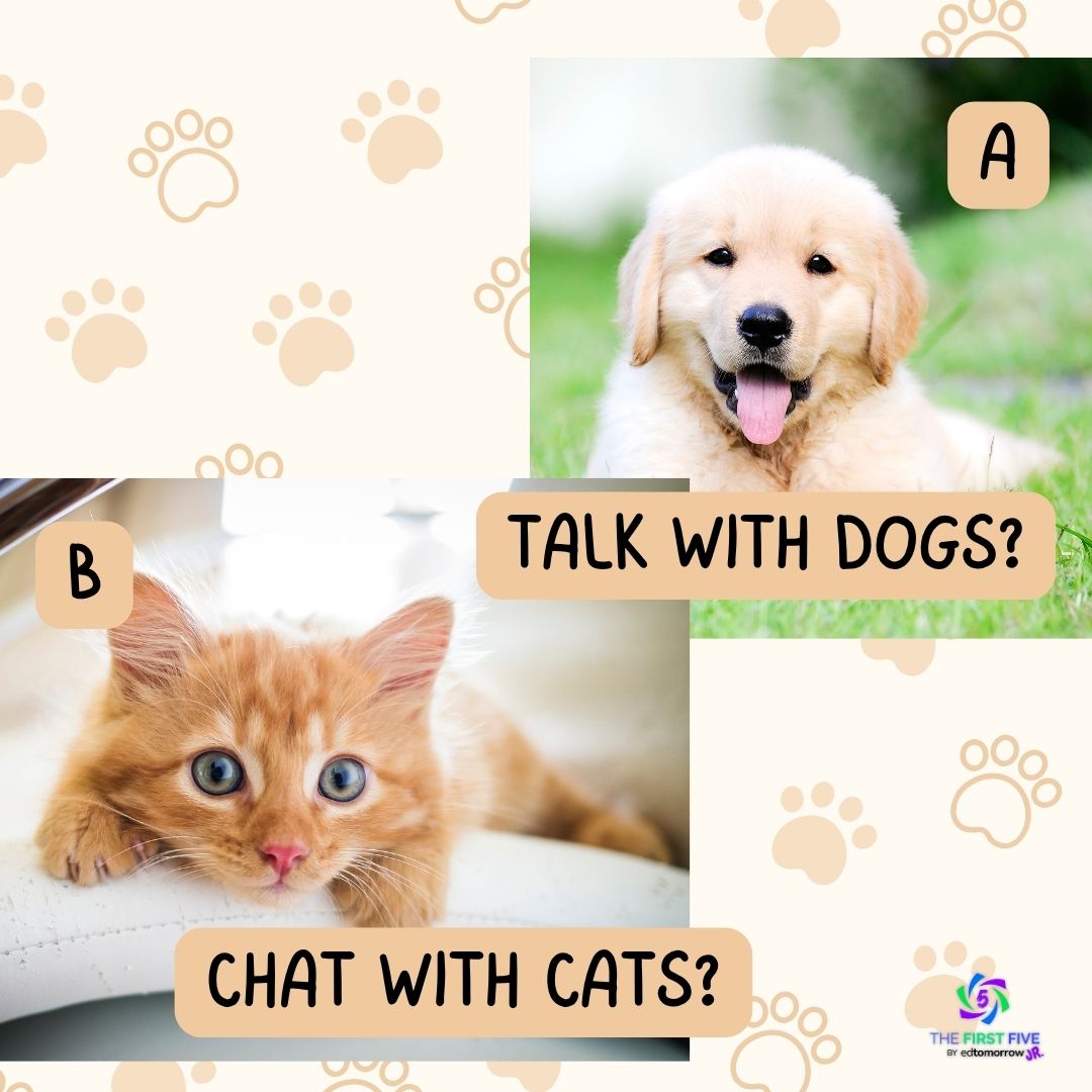 Talk with Cats or Dogs