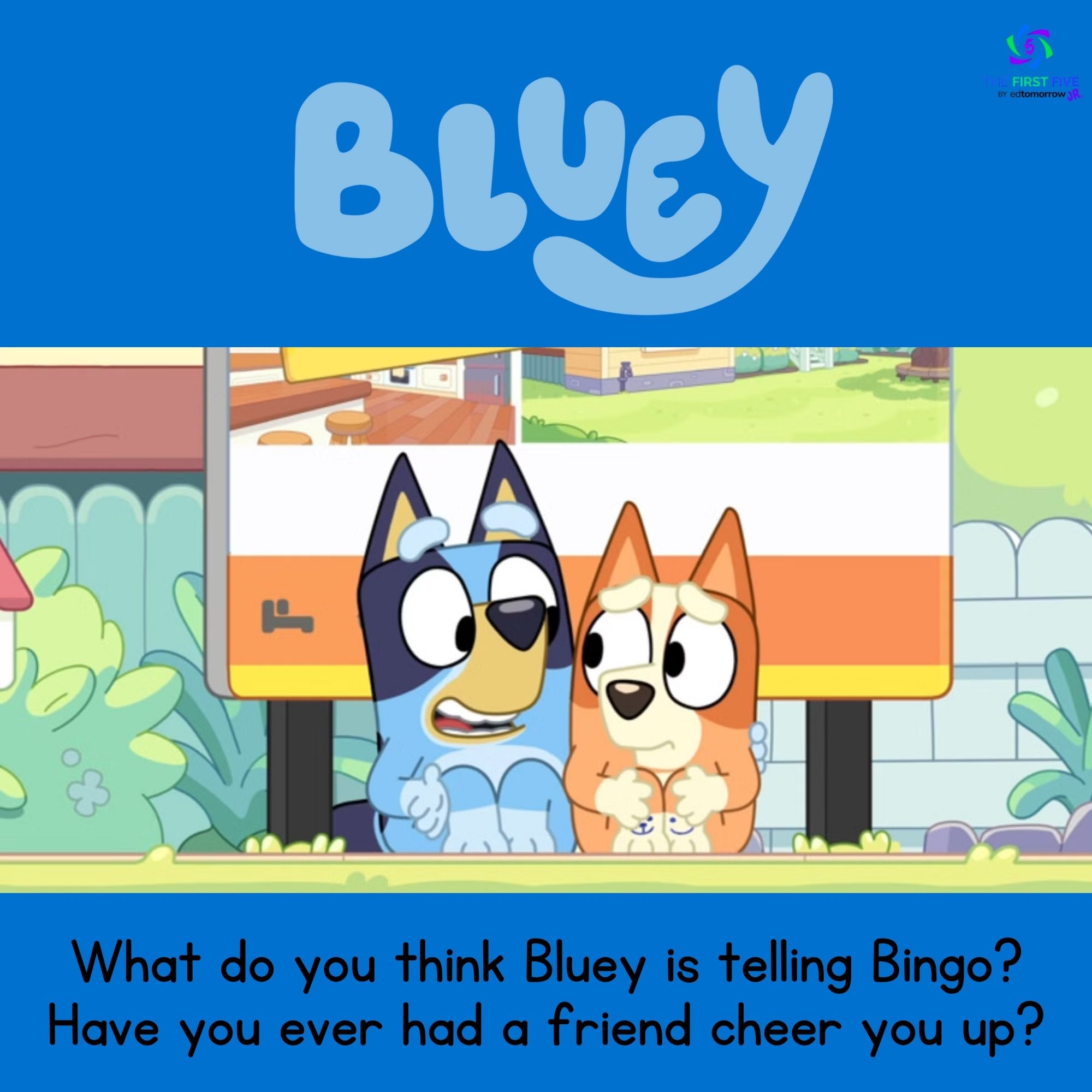Bluey and Bingo