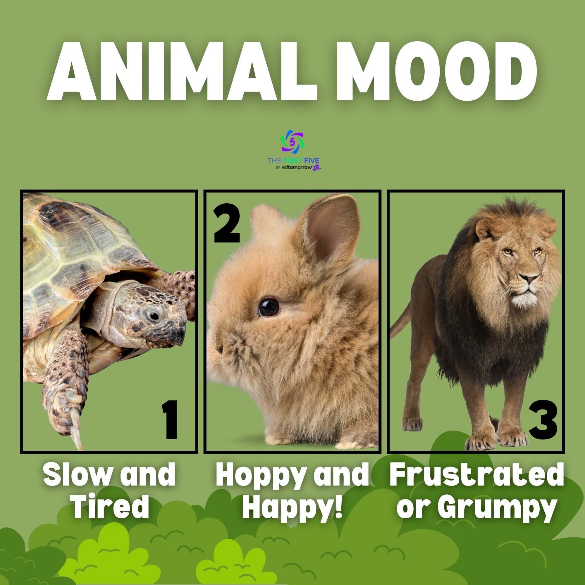 Animal Mood