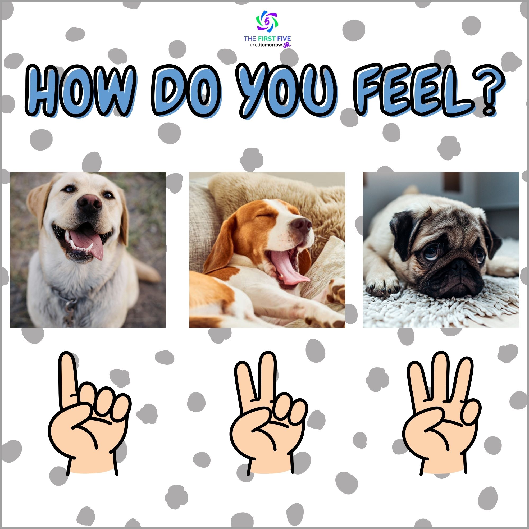 Dog Emotions