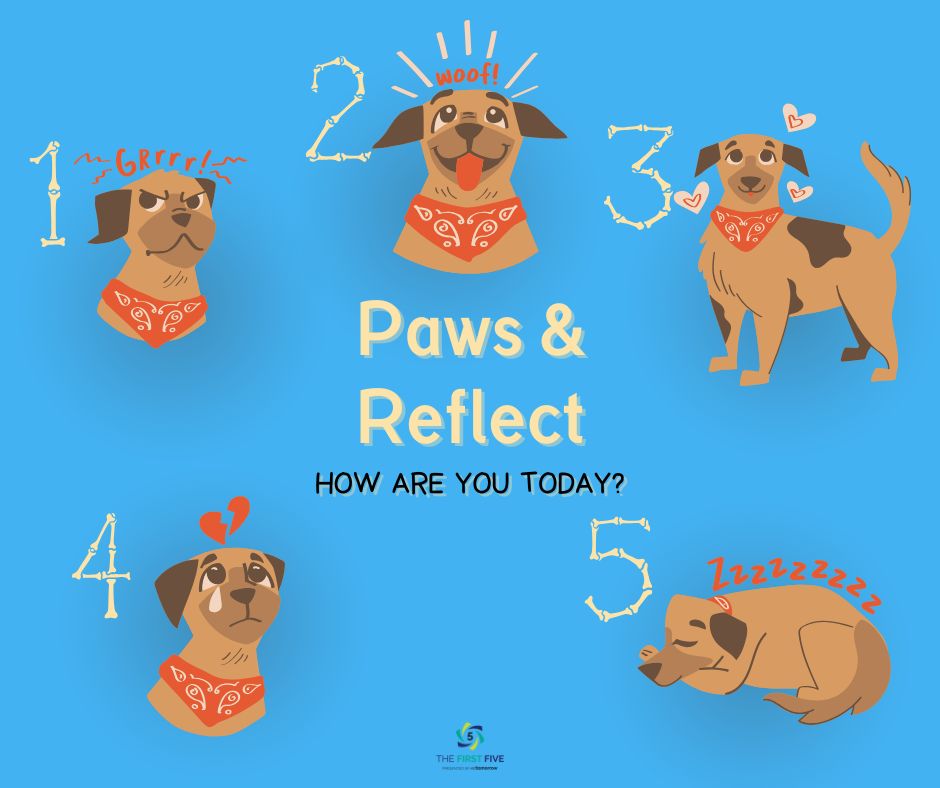 Paws and Reflect Dog Emotions