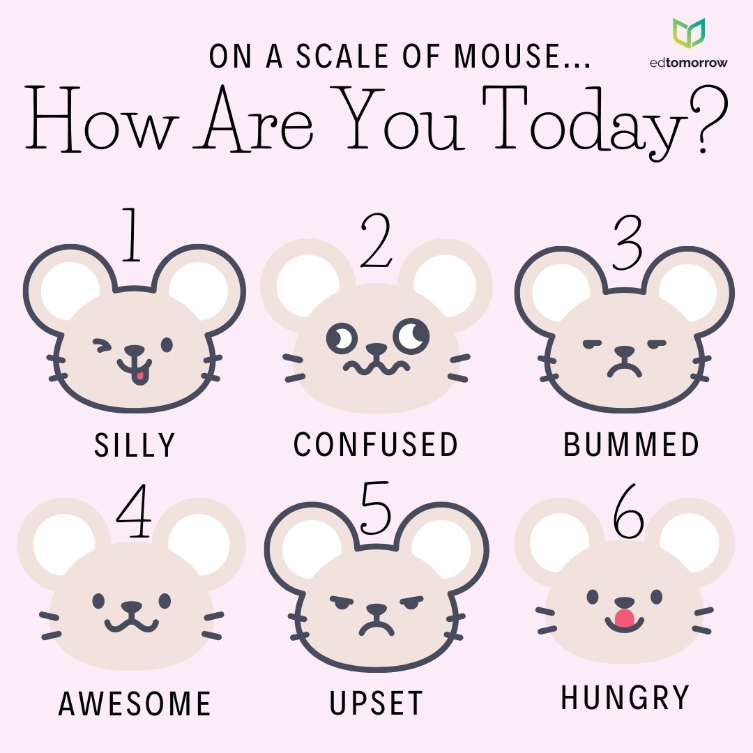 Mouse Feelings