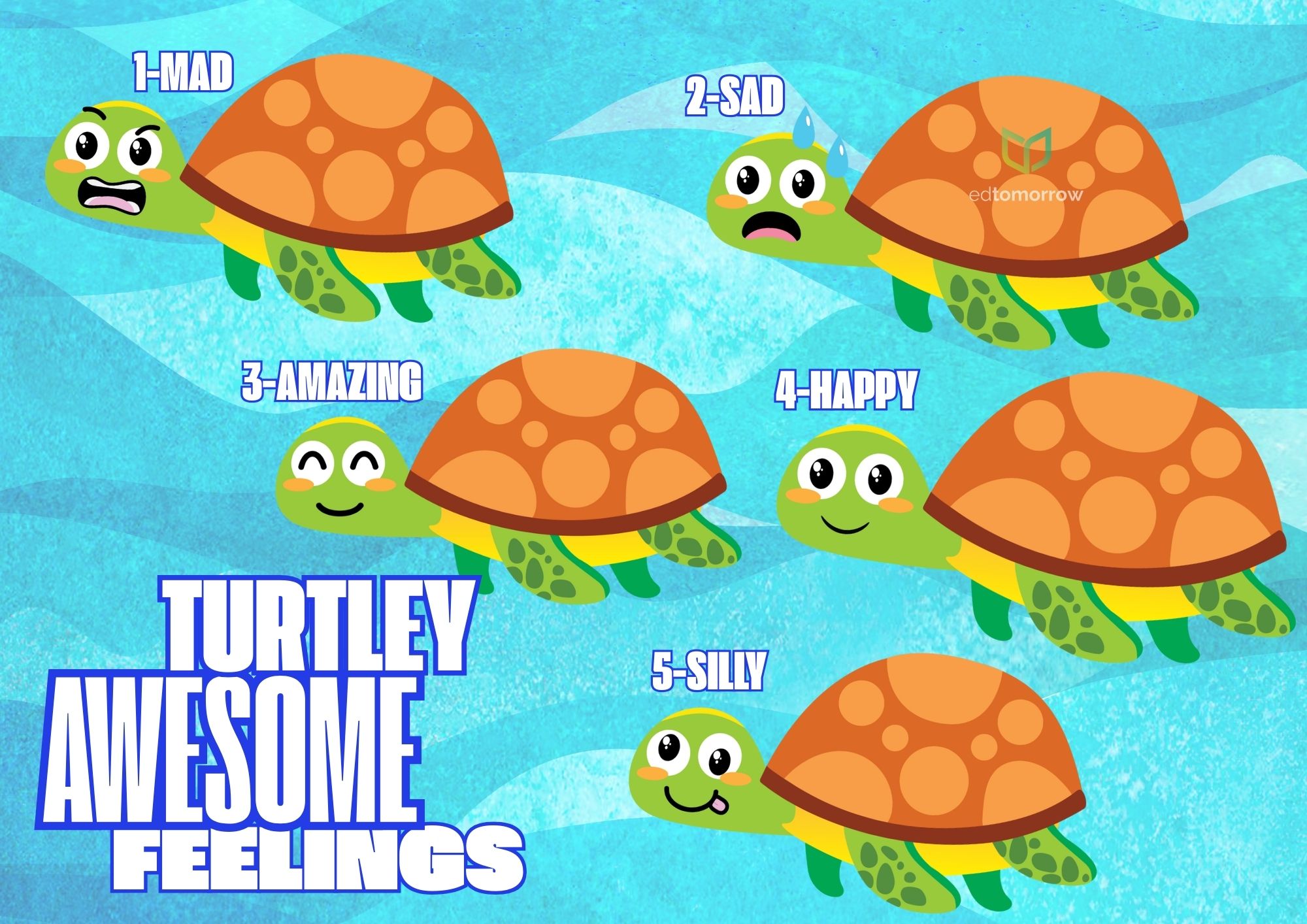 Turtle Feelings