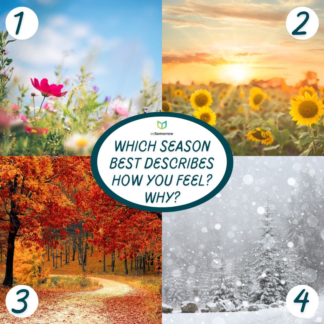 Seasonal Moods