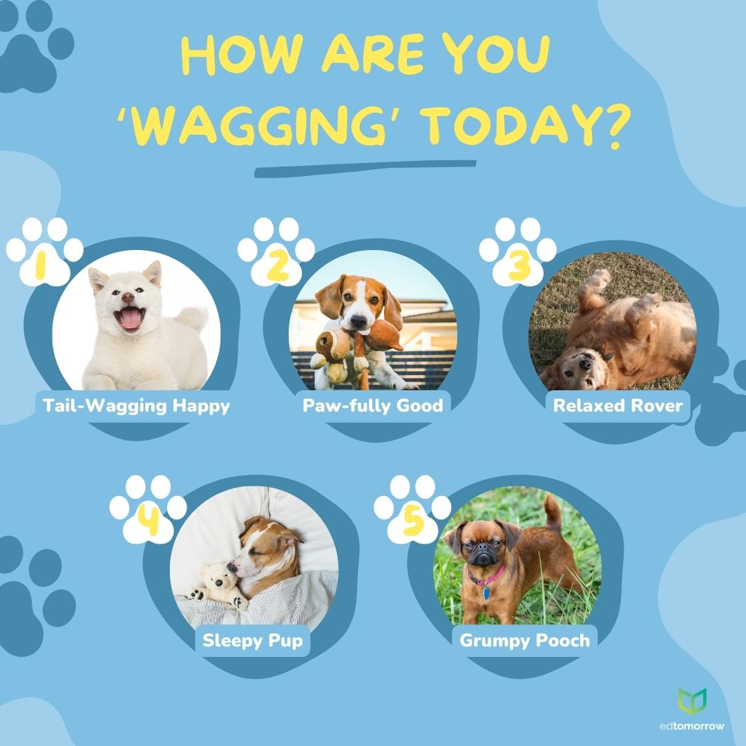 Dog Moods