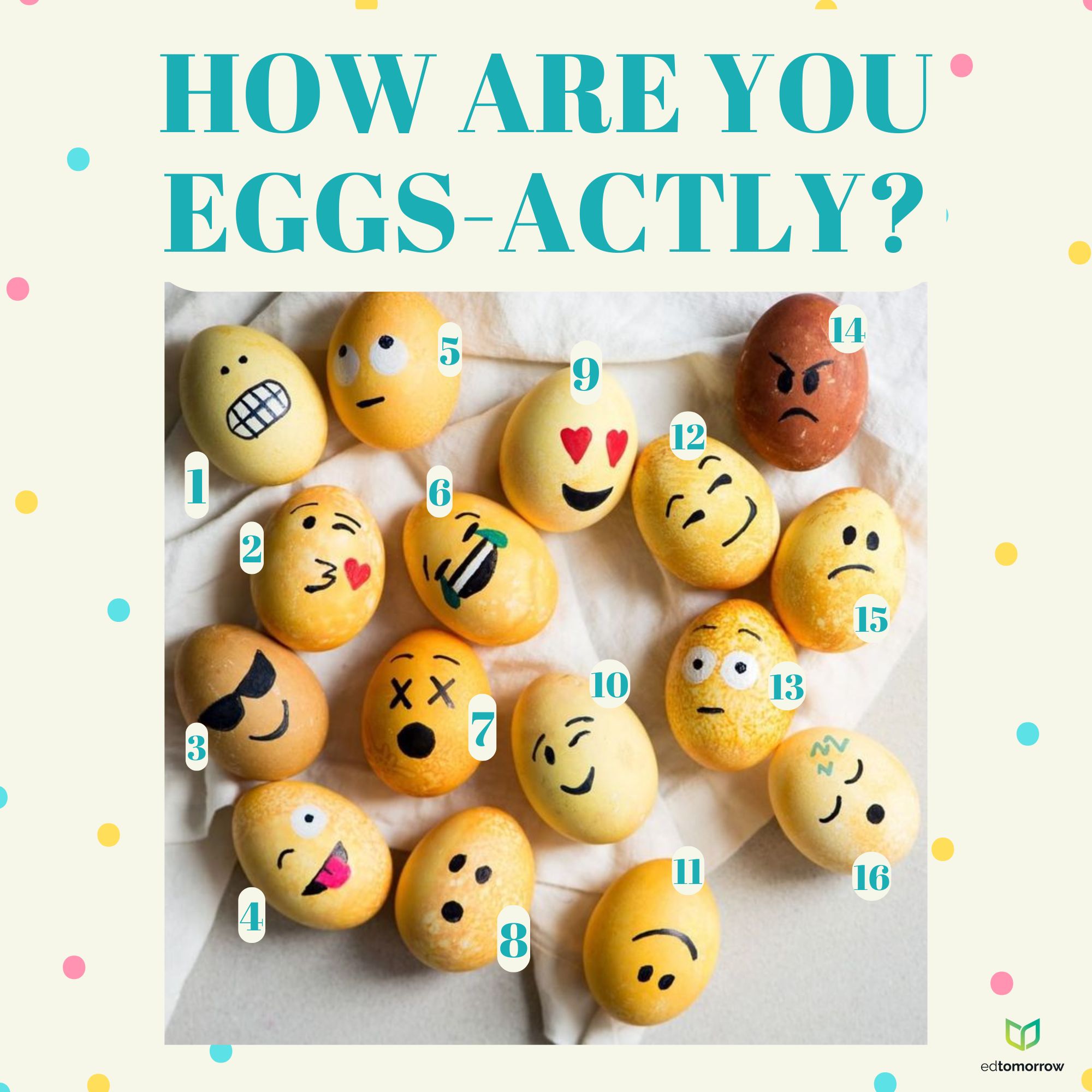 Egg Faces Check-In